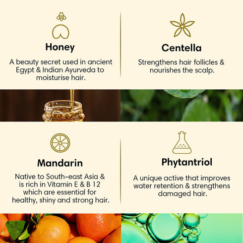 Theearthcollective in Dry & Damaged Hair Conditioner Honey Centella and Mandarin