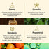 Theearthcollective in Dry & Damaged Hair Conditioner Honey Centella and Mandarin