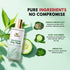 Tvishi Skincare Go Green Clay Mask