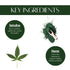 Natuur Supergreens Face Pack