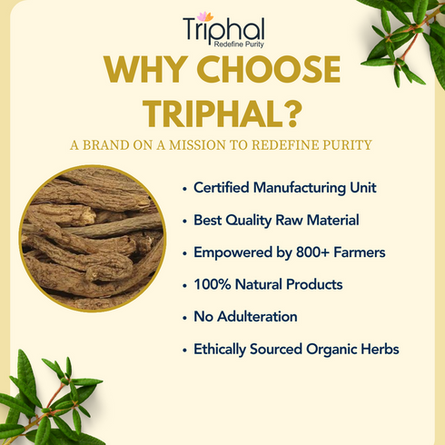 Akarkara Irani Powder - Pellitory Roots Powder