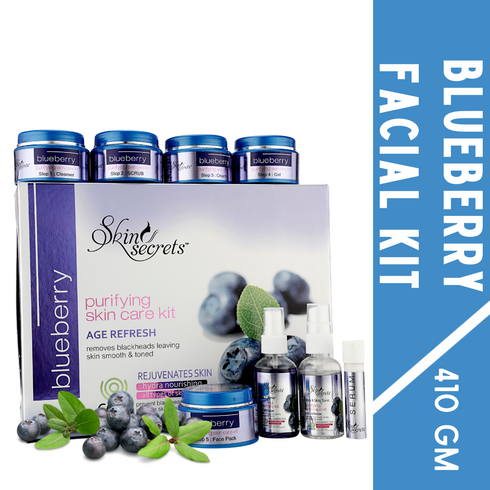 Skin Secrets Blueberry Facial Kit 410gm