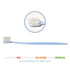 Natuur Daito Tooth Brush Honeybee (Made in Japan )