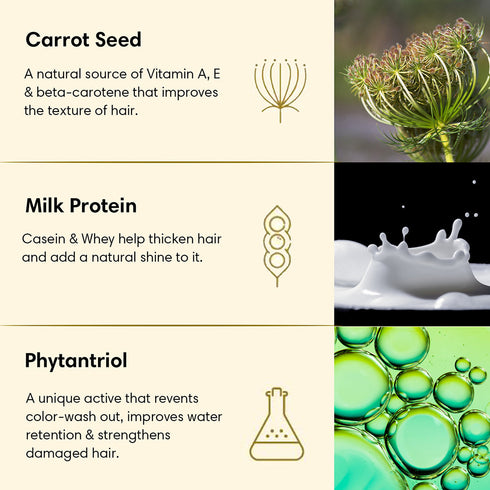 Theearthcollective in Colour Treated Hair Cleanser Shampoo Hair Carrot Seed & Milk Protein