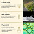 Theearthcollective in Colour Treated Hair Cleanser Shampoo Hair Carrot Seed & Milk Protein