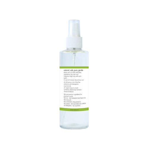 Natuur Air Freshener (Orange & Cinnamon) Spice 200ml