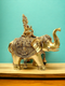 Tamas Brass Asthalaxmi on Elephant Idol