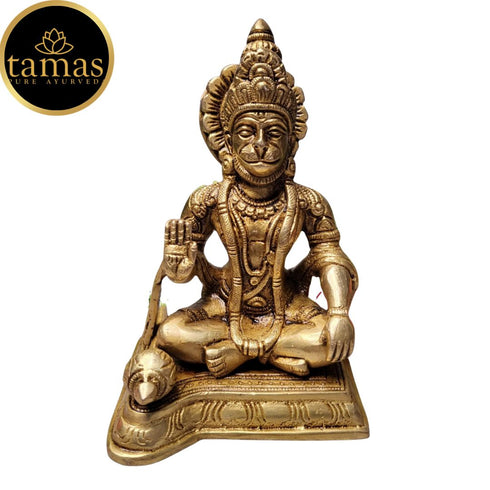 Tamas Brass Blessing Lord Hanuman Idol(Golden)