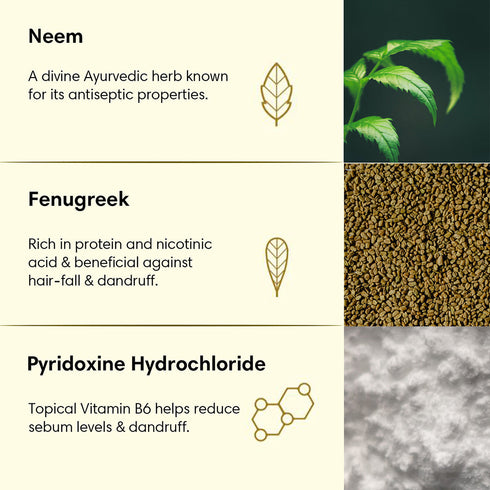 Theearthcollective in Anti Dandruff Hair Cleanser Shampoo Neem & Fenugreek