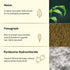 Theearthcollective in Anti Dandruff Hair Cleanser Shampoo Neem & Fenugreek