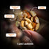 UNIFIT Decadent Laddoo Box