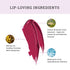 Lovetc Bold Bliss Etc Zero-Gravity Mini Lip Crème