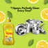 Natuur Dish Cleaner