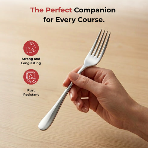 Vinod Decora Stainless Steel Dinner Fork Set of 12 Piece Heavy Gauge Steel Mirror Finish Rust Free Tough Strong and Durable