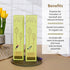 Theearthcollective in Combo Pack Anti Dandruff Hair Cleanser & Conditioner Pack