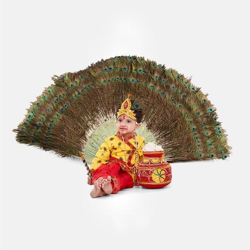 Raj Fancy Dresses Radha and Krishna Feather| Print Janmashtami Mythological Character Costume