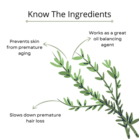 Omorfee India Rosemary Essential Oil