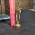Pure Silver Sugar Cane Plant - 25.99 g by Mahita Collections