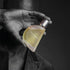 Contraband Le Oud XI Eau De Parfume