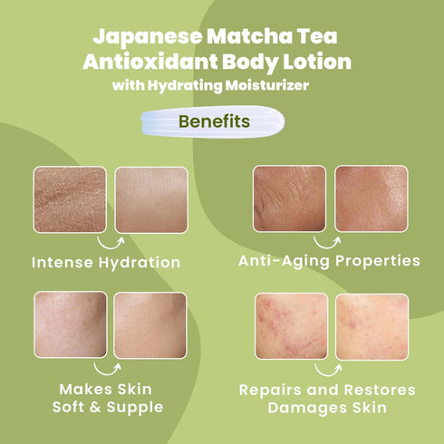 Wild Oak Japanese Matcha Tea Body Lotion