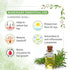 Keya Seth Aromatherapy Rosemary Hair Growth Treatment Kit for Dry Hair