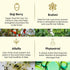Theearthcollective in Nourishing Hair Cleanser Shampoo Goji Berry Brahmi & Alfalfa