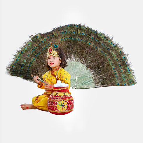 Raj Fancy Dresses Radha and Krishna Printex| Yellow Brocade Fabric Janmashtami Mythological Character Costume