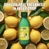 Keya Fresh Lemon Juice Contains Natural Lemon Juice No Added Water No Concentrate No Sedimentation Fresh for 24 Months Quick Easy Hassle Free Essential For Everyday Cooking & Beverages