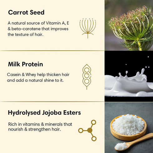 Theearthcollective in Colour Treated Hair Conditioner Carrot Seed & Milk Protein