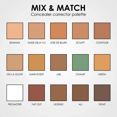 Shills Professional Mix & Match Concealer Corrector Palette