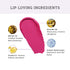 Lovetc Pout Perfect Etc High-Definition Matte Lipstick