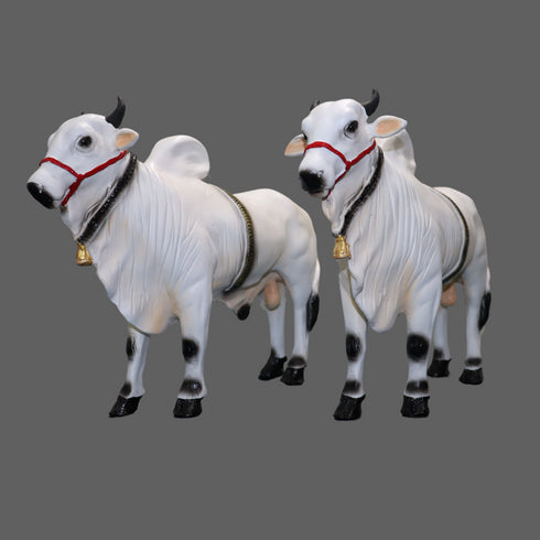 Large Fiber Ongole Bull Pair - Table Decoration Figurines