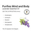 Keya Seth Aromatherapy Lavender Essential Oil