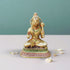 Brass Hanuman Ji Statue 1.6Kg