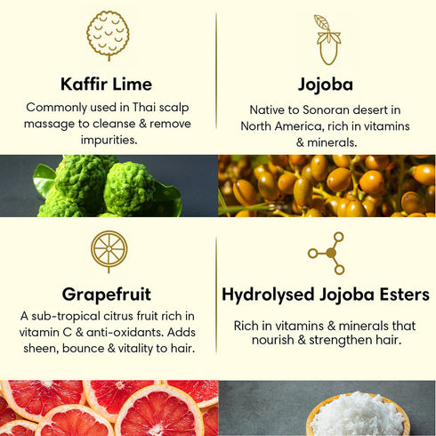 Theearthcollective in Oily Hair Hair Conditioner Kaffir Lime Jojoba & Grapefruit