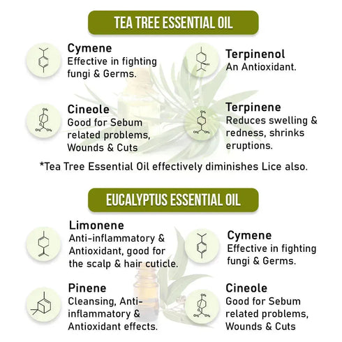 Keya Seth Aromatherapy Scalp care Dandruff Removal Shampoo with Salicylic Acid