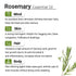 Keya Seth Aromatherapy Rosemary Essential Oil
