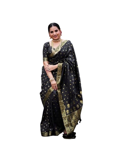 Vasthrlay Kanjivaram Border Saree