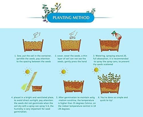 NooElec Seeds Hydrangea Flower Seeds