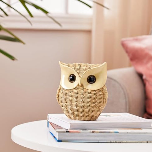 Modern Classy Happy Owl Resin Art Figurine | Beautiful Home Decor