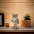 Owl Statue for Good Luck Owl showpieces for Home Decor vastu Attracts Positive Energy & Money