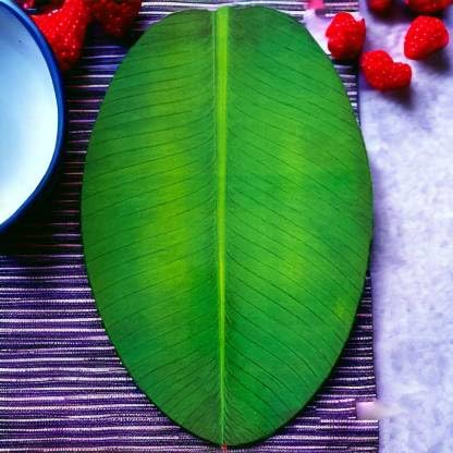 Paper Oval Decorative Placemats For Dining Table