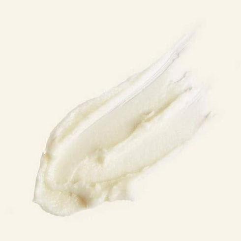 The Body Shop Spa Of The World African Ximenia Scrub