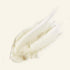 The Body Shop Spa Of The World African Ximenia Scrub
