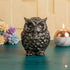 Owl for Dhan Wealth Protection | Vastu Feng Shui Money Attraction Owl
