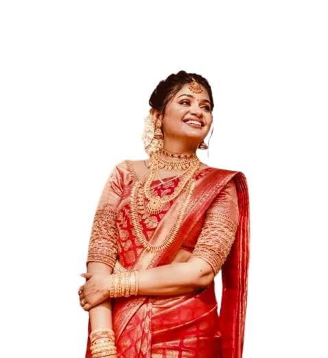 Vasthrlay Banarasi Border Saree