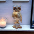 Owl showpieces for Home Decor vastu feng Shui