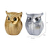 Modern Classy Lucky Owl Statues for Home Decor