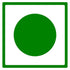 GreenFinity Premium Seedless Green Raisins