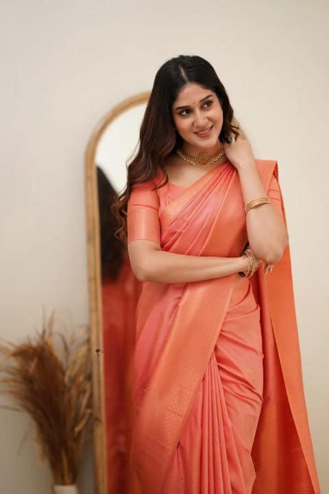 Vasthrlay Kanjivaram Border Saree